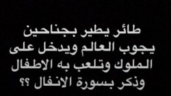 حل لغز طائر يطير بجناحين يجوب العالم ويدخل على الملوك وتلعب معه الأطفال وذكر بسورة الأنفال