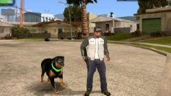 كود gta san andreas للكلاب 2023 و أهم الأكواد الحديثة المميزة للعبة كود gta san andreas للكلاب 2023 و أهم الأكواد الحديثة المميزة للعبة