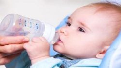 موضوع تعبير عن انجاب الذكور بالعناصر موضوع تعبير عن انجاب الذكور بالعناصر