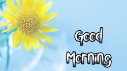 اجمل كلمات الصباح للحبيب والصديق 2022 أجمل ما قيل عن الصباح